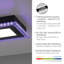 Sharen LED Flush Mount