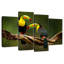 Toucans Brampt sur une branche-108875223