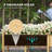 Padmore Wood Planter Box