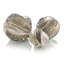 Set of 3 Flowing Waves Spheres-859735540