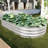 Galvanized Planter Raised Garden Beds