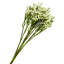 Buisson en plastique 15 po Gypsophila-1166490790