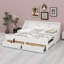 Daybed Frame with Built-in Storage Shelves and Pull-out Drawers-129599461