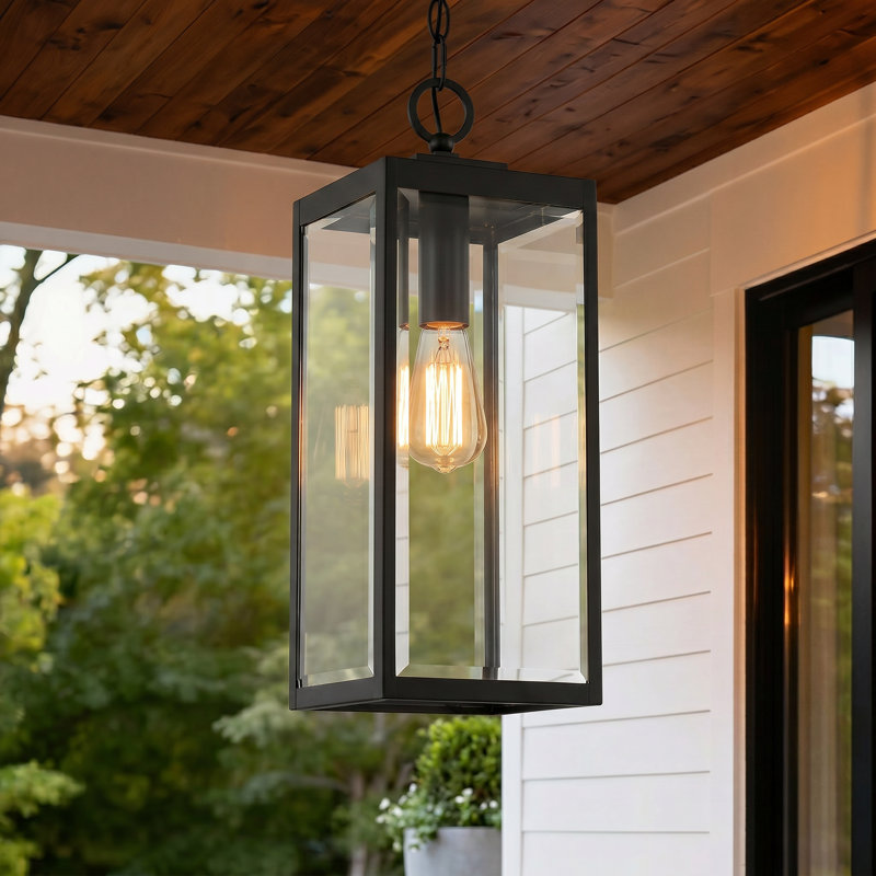  Lanterne suspendue d'extérieur noire à 1 lumière H 20,75 po
