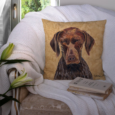 Outdoor Reversible Throw Pillow