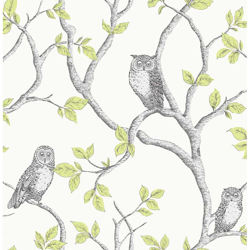 Winston Owl 33' x 20.5" Wallpaper Roll, Green