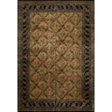 Rajasthan Collection One-of-a-Kind 9.4 X 13.0 Hand Knotted Area Rug