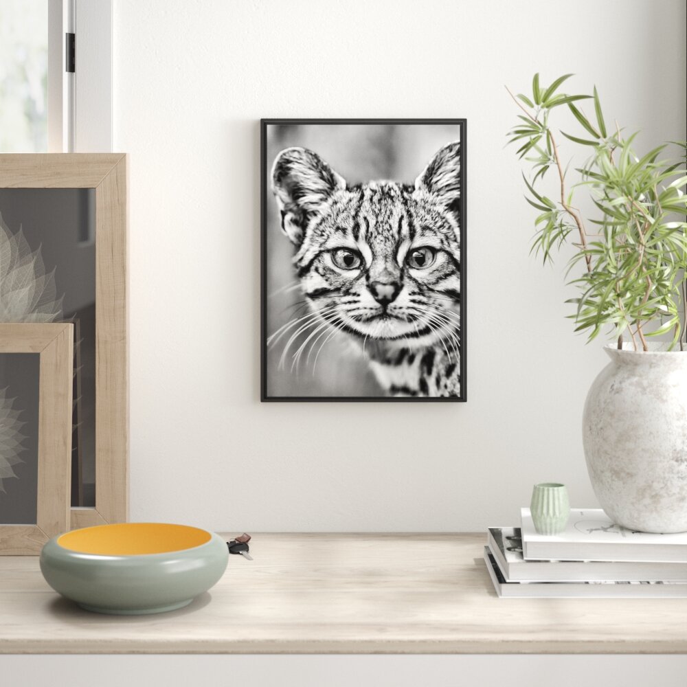 Gerahmtes Wandbild kleine Bengalkatze