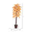 Série artificielle Golden Aspen-888514532-888514535