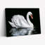 Cygne blanc sur fond noir, reproduction d'art sur toile tendue sur toile, ensemble de 1-833968762