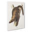Marten by J.W. Audubon - Wrapped Canvas-55362778