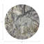 Arcadia Chettah Vegan Leather Round Coasters
