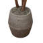 Silver Dollar Eucalyptus Tree in Stone Pot