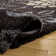 Chanhassen Shag Performance Floral Rug