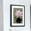 Bloom Shadow - Wrapped Canvas Painting-1399634679