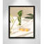 Citrus And Palms " Citrus & Palms " by Chandra Oh-87919617-87919618