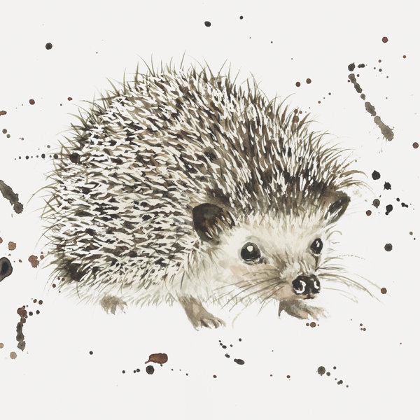 Millwood Pines Hedgie On Canvas by Bree Merryn Print - Wayfair Canada