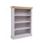 Mickle 120cm H Standard Bookcase-1689075415