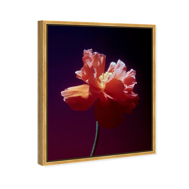 Taffeta Twilight II Floral & Botanical Canvas Print by Oliver Gal, Black Frame, 16 x 20, 17"H x 21"W, Gold Floater Frame