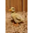 Duckling 2 Piece Statue Set