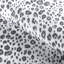 Leopardos-407389387