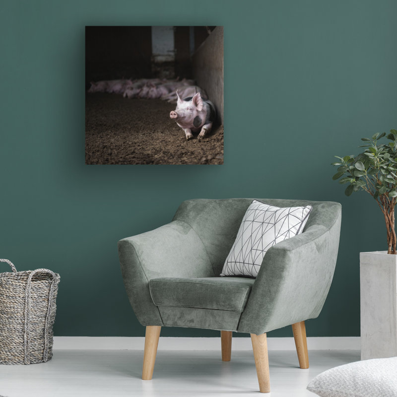 Art sur toile ,ologi, H 35 po x l 35 po