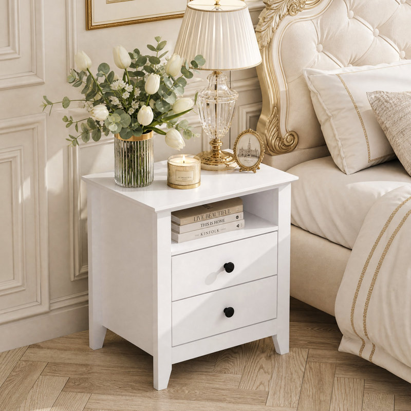 Ololade 19.7" W 2-Drawer Nightstand with Open Shelf
