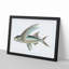 Flying Fish by George Shaw - Framed Print-55621085-55621086