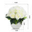 Rose-1650943251