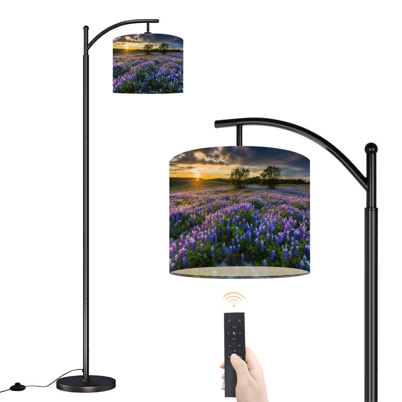 Lampe sur pied à arc avec abat-jour réglable Texas Bluebonnet Field Sunset Muleshoe Bend