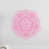 Rose tendre