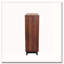 Armoire décorative-419568634