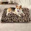 Tapis de caisse pour animal en peluche-798355073