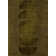 Luna Moss Area Rug
