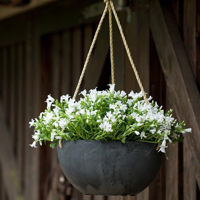 Self Watering Hanging Plastic Planter, Black, 23" H x 12" W x 12" D