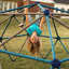 Lifetime Climbing Dome-48890178-48890179