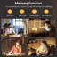 Burnetti Clip On Lamp