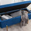 Banc de rangement rembourré en velours Miajah-251652346