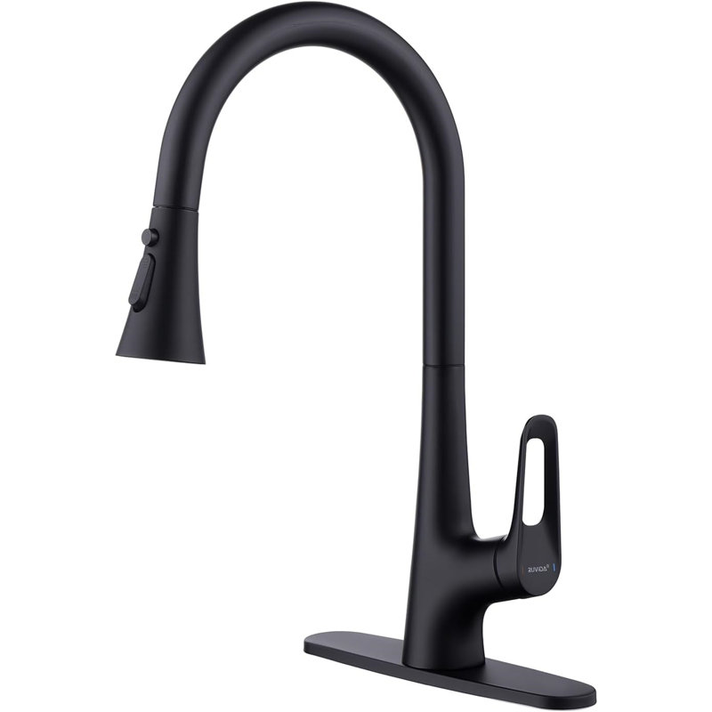 Robinets de cuisine Ruvida, robinet de cuisine, robinet de cuisine avec douchette rétractable, robinet d'évier de cuisine adapté au camping-car campagnard