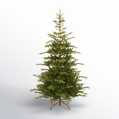 7.5' Norwegian Spruce Christmas Tree