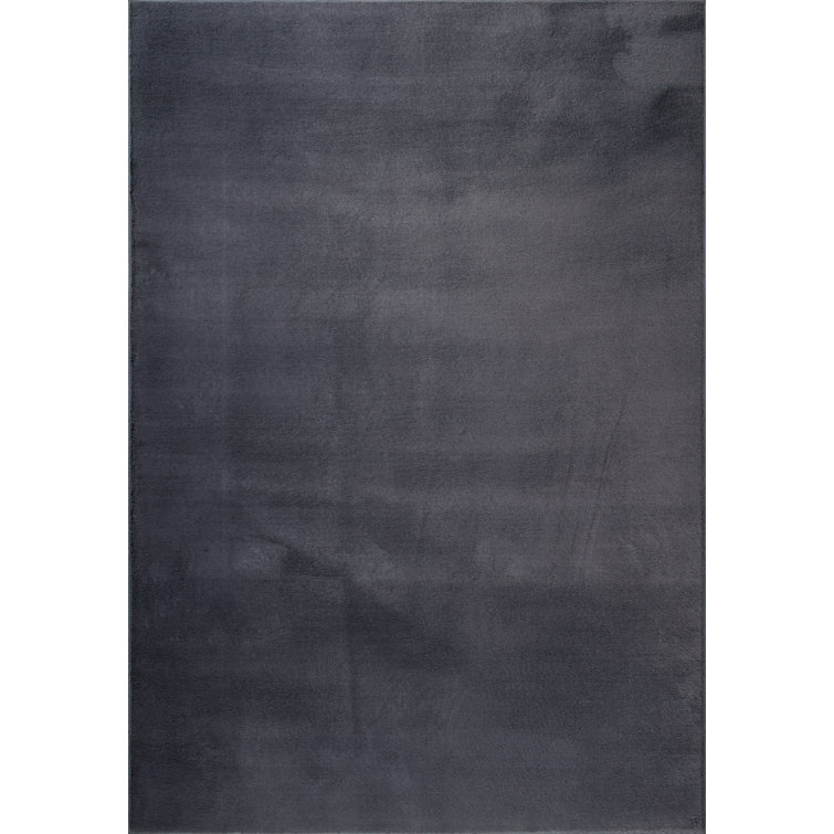 Schnabel Solid Colour Area Rug