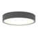 Axsel Flush Mount