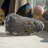 Figurines & Sculptures