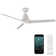 52" 3 - Blade Outdoor Smart Propeller Ceiling Fan with Light Kit with Selectable Colour Temperature Included