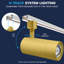 Luxrite 3 po Éclairage sur rail à DEL Zoomable, 5CCT, CRI90, 30 W, 2100LM, à intensité variable, inclinaison de 358 ° + 90 ° et faisceau de 20 ° à 50 °, éclairage sur rail de type H, ETL, paquet de 8 en laiton-132839366