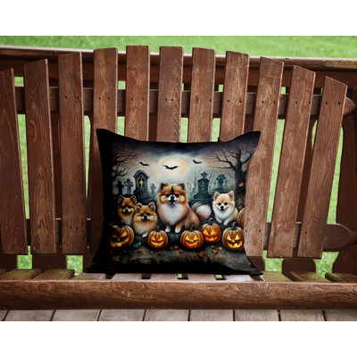Outdoor Throw Pillow