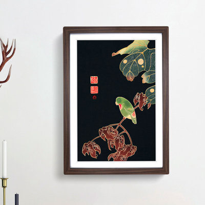 Parakeet Parrot by Ito Jakuchu - Framed Print