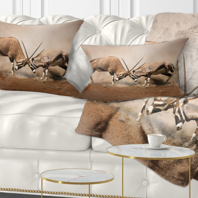 Coussin lombaire gemsbok antelopes combat wall