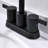 Centerset 2-handle Bathroom Faucet with Drain Assembly-50966988
