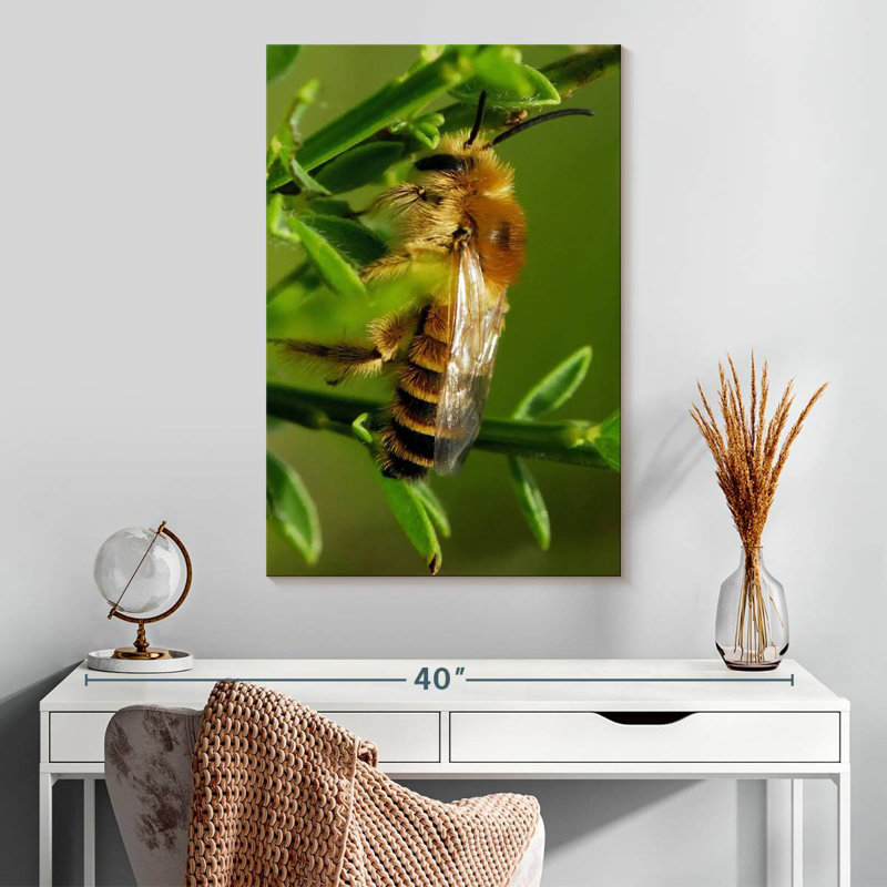 Brampt Bee Bee Bee, 30" H x 20" W